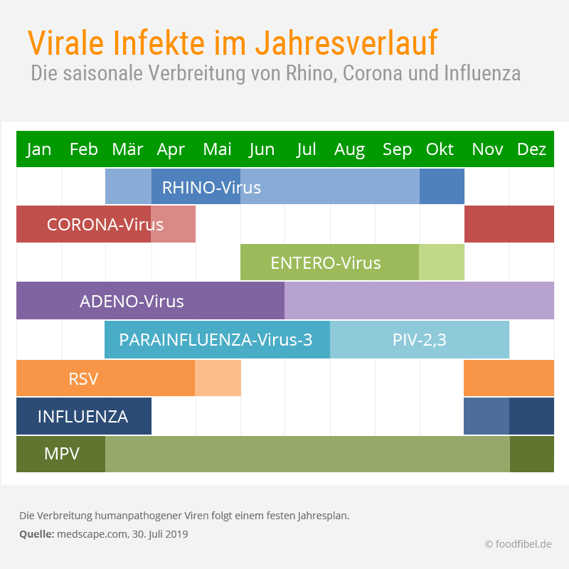 Virale Infekte im Jahresverlauf. © foodfibel.de